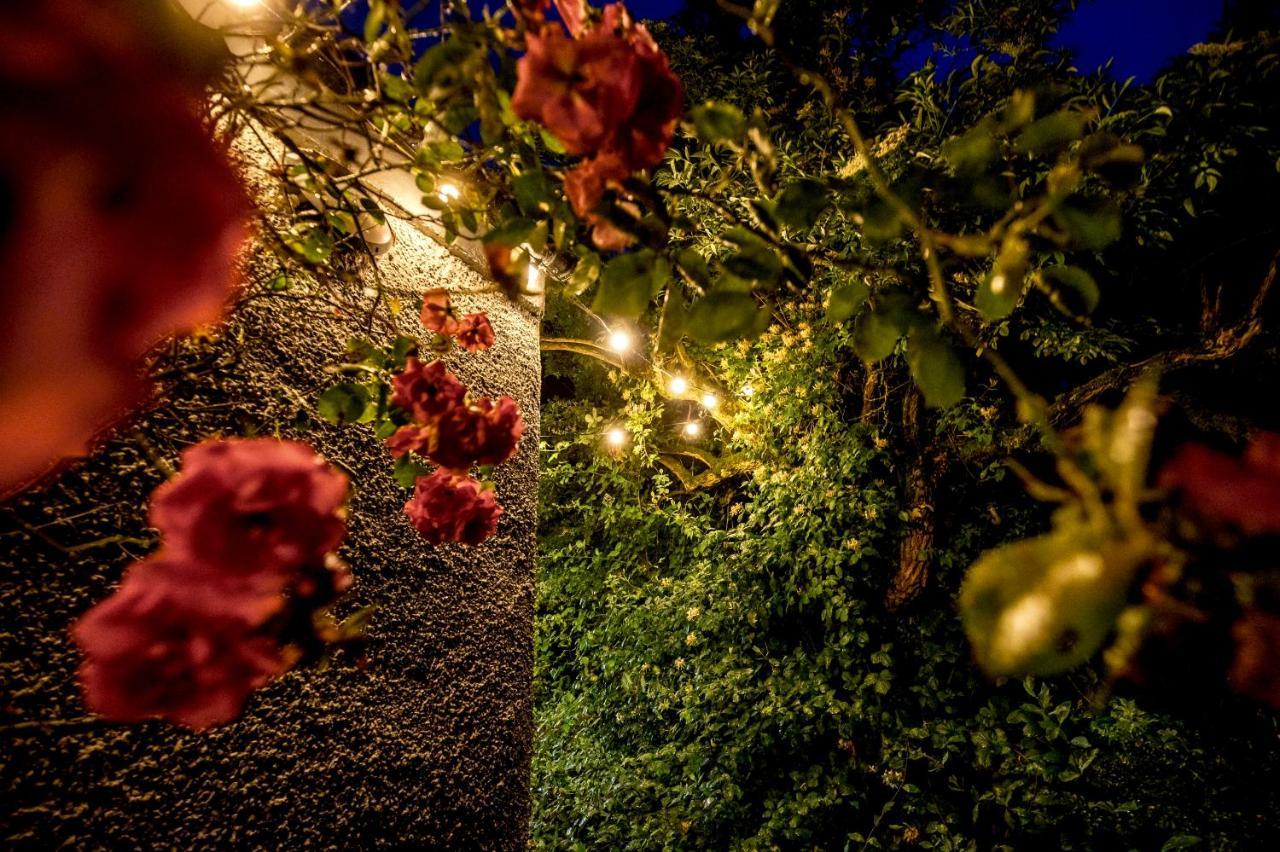 فيلا The Woods At Whitepark Bay بالينتوي المظهر الخارجي الصورة